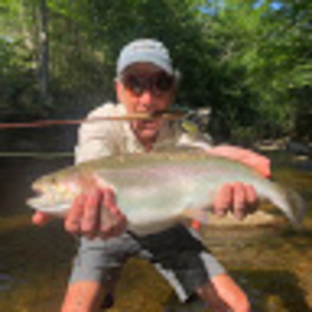 Meet your Posher, Austin